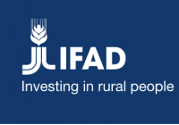 IFAD