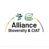 Alliance Bioversity & CIAT