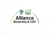 Alliance Bioversity & CIAT