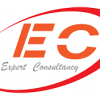 Expert Consultancy