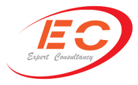 Expert Consultancy